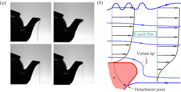 Teapot effect figure (Scheichl)