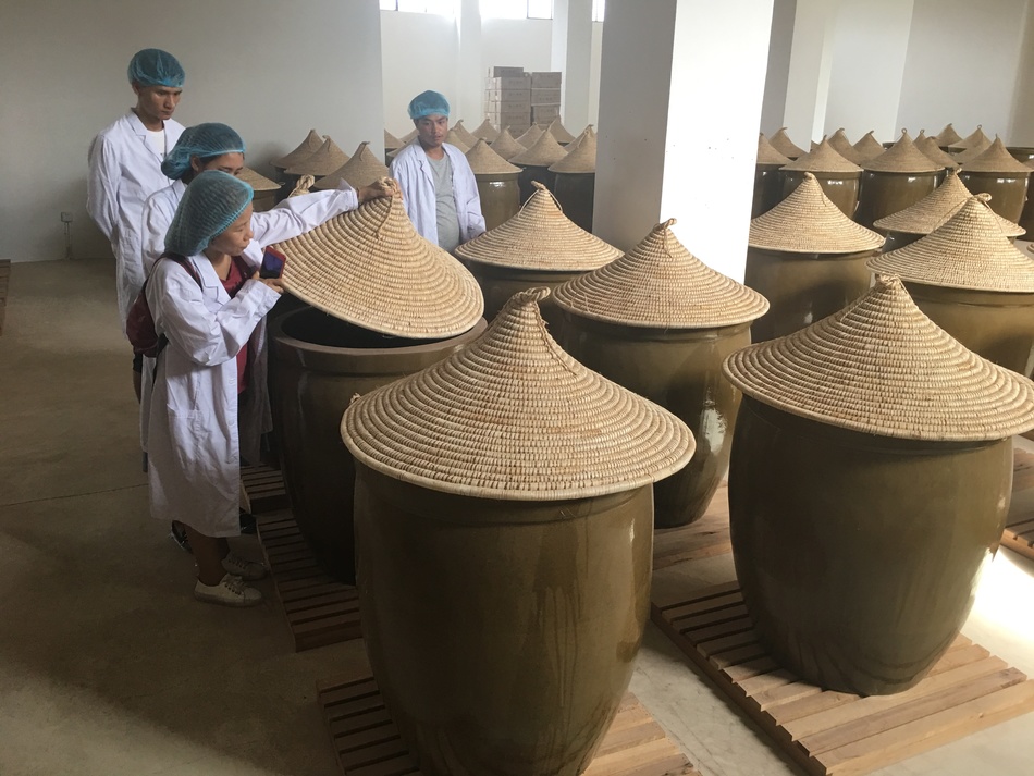 Puerh tea storage jars in tea factory
