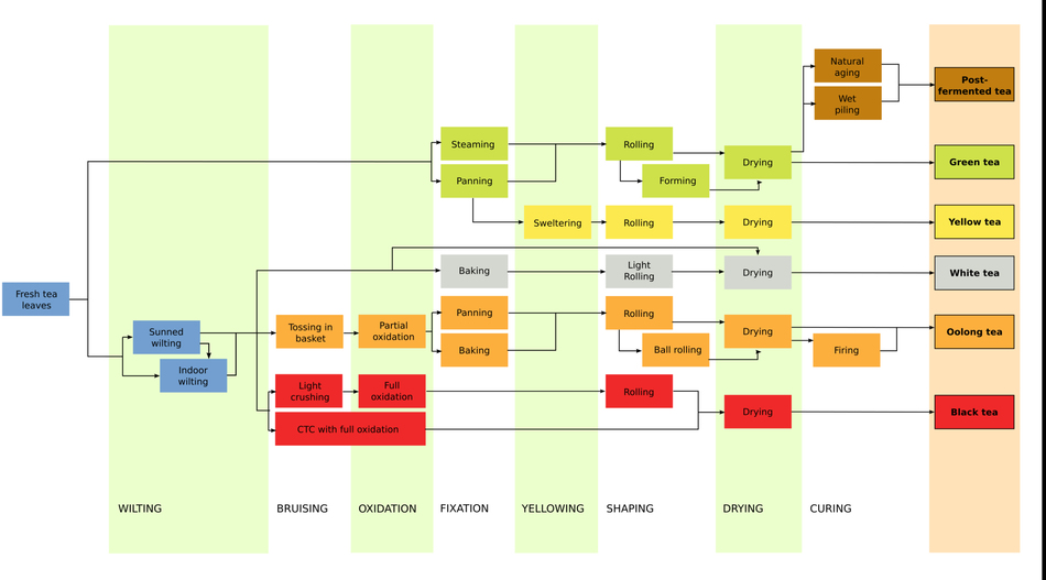 Tea Processing Methods Chart.jpg