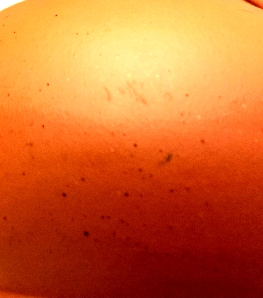 20210312_015323.jpg