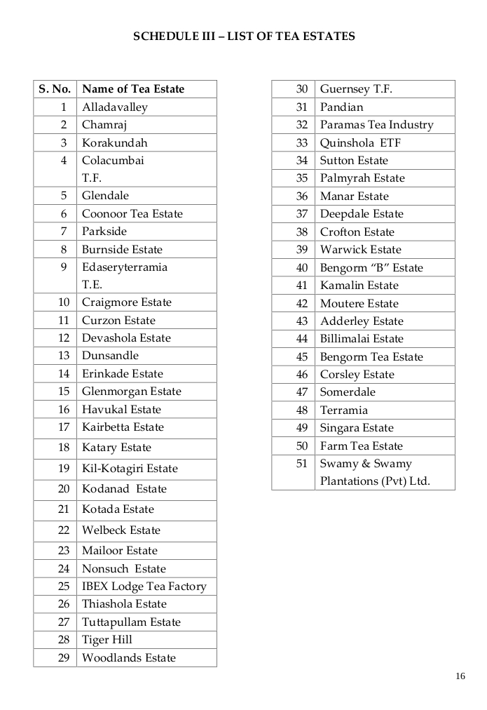 nilgiri-orthodox-estates.jpg