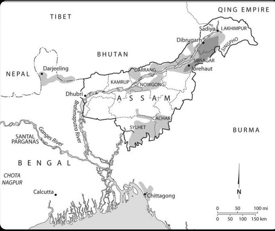 Figure . Export tea production regions in India at the turn of the twentieth century. The Tea Committee’s s experiments took place in the upper reaches of the Assam Valley, which grew into the colonial industry’s area of greatest concentration. Cartography by Bill Nelson, based on The Atlas of the World Commerce Maps, Text and Diagrams by J. G. Bartholomew (London: George Newnes Limited, ), –.<br /><br />From tea war by Andrew liu