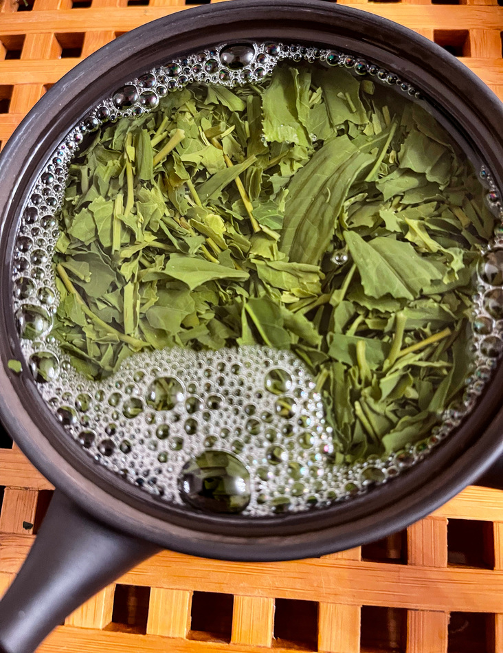 sencha.jpg