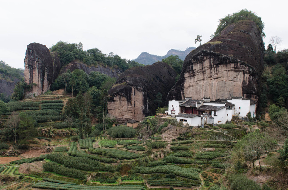 Ma tou Yan https://oldwaystea.com/blog/2020/04/25/hike-to-ma-tou-yan