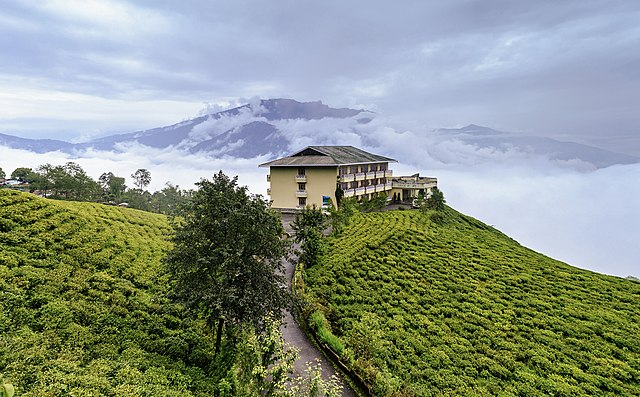 https://upload.wikimedia.org/wikipedia/commons/f/fb/Cherry_Resort_inside_Temi_Tea_Garden%2C_Namchi%2C_Sikkim.jpg resort within tea gardens