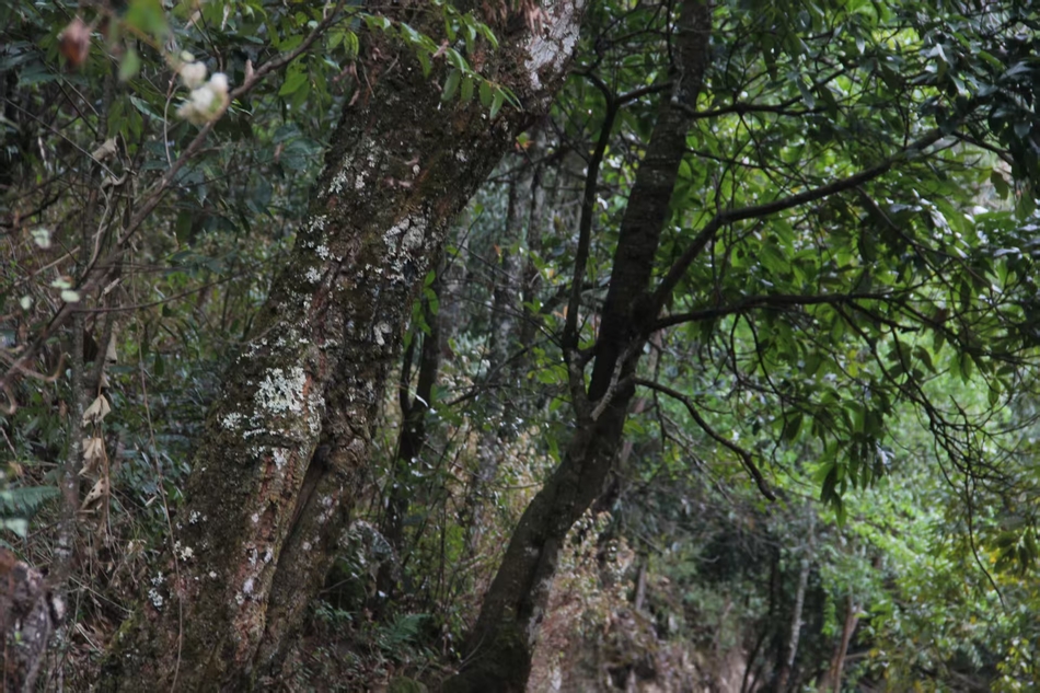 Weixin Image_20250418223151.jpg