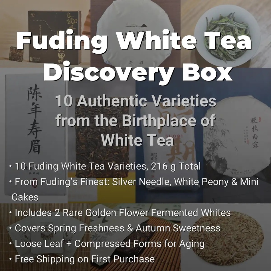 Fuding White Tea Discovery Box.jpg