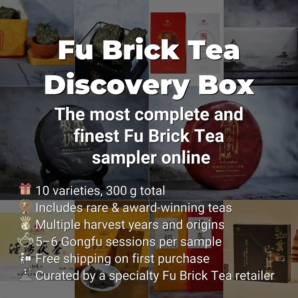 Fu Brick Tea Discovery Box