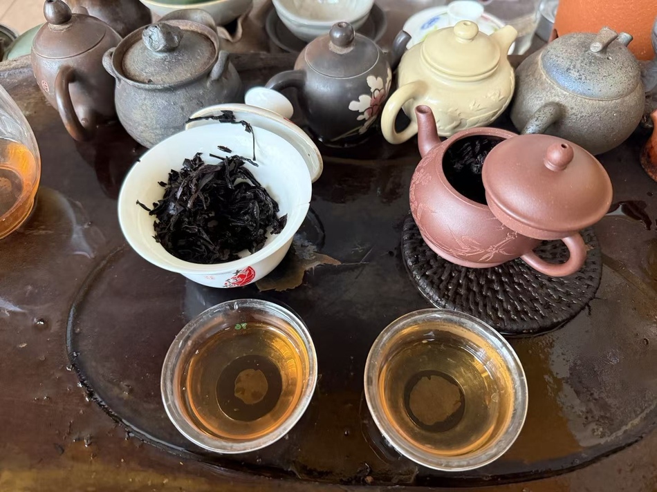 test gaiwain vs Zini.jpg