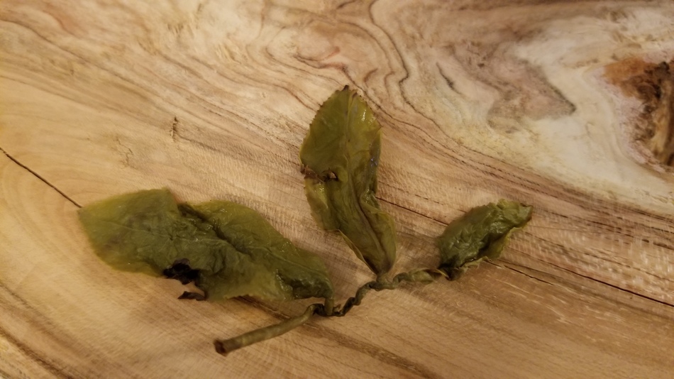 20190126_181423.jpg