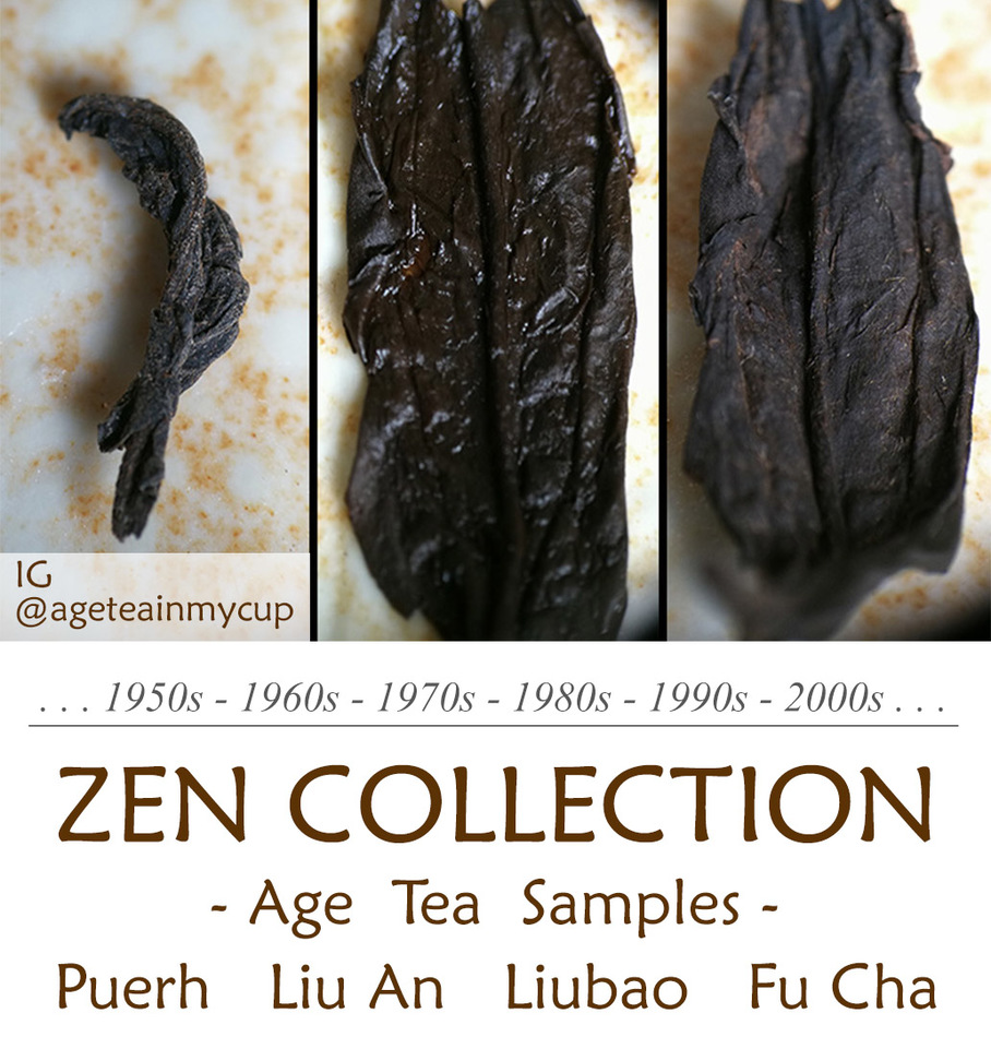 1IG Zen Collection.jpg