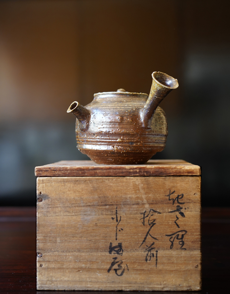 Mayake Yohen Shigiraki Kyusu by_DSC1670.jpg