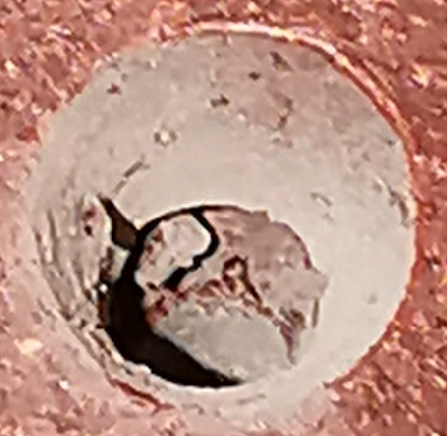 first pot dcq inside.jpg