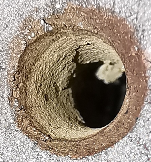Second pot inside.jpg