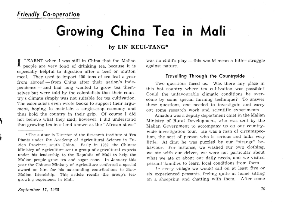 Growing-China-Tea-In-Mali-1.jpg