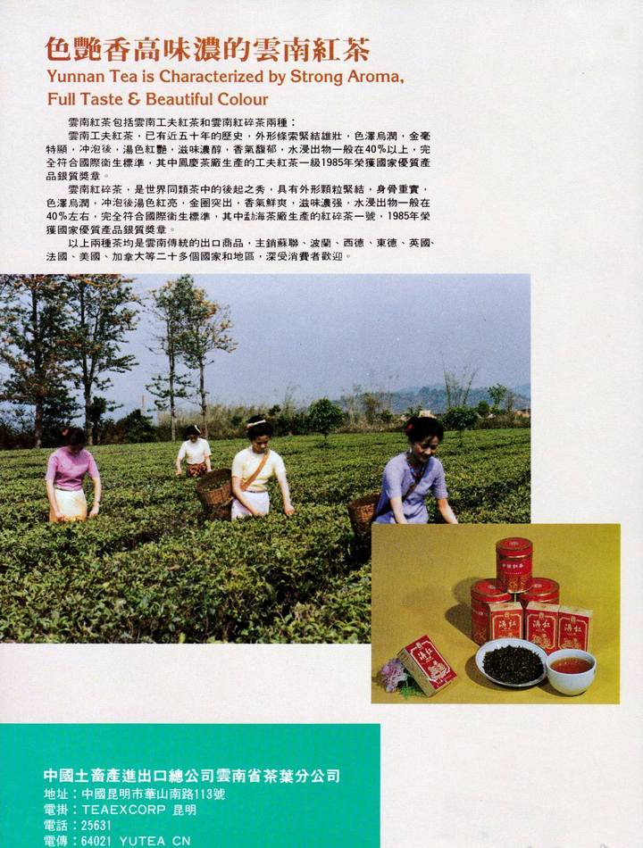 yunnan-tea-ad.jpg