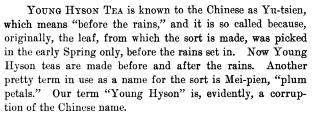 younghyson-1903.jpg