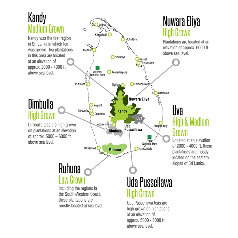 Tea-Growing-Regions-of-Ceylon-1.jpg