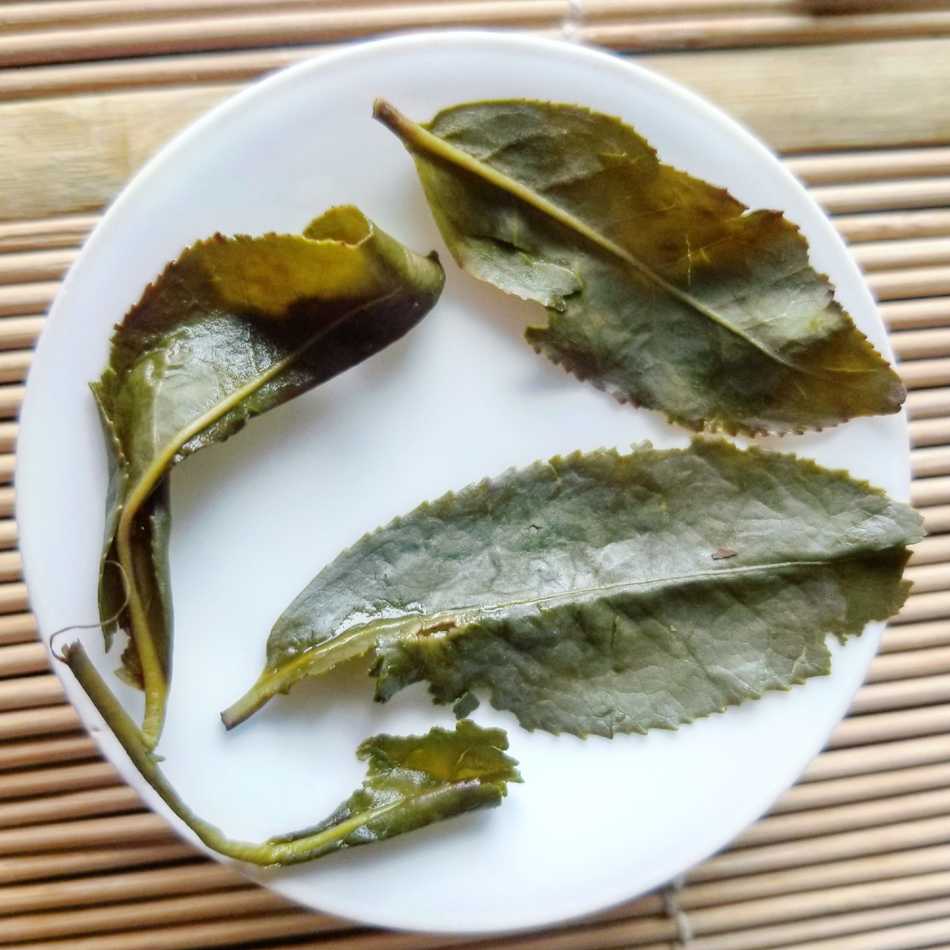 Leaves are large and heterogeneous. They are soft and taste pretty good!